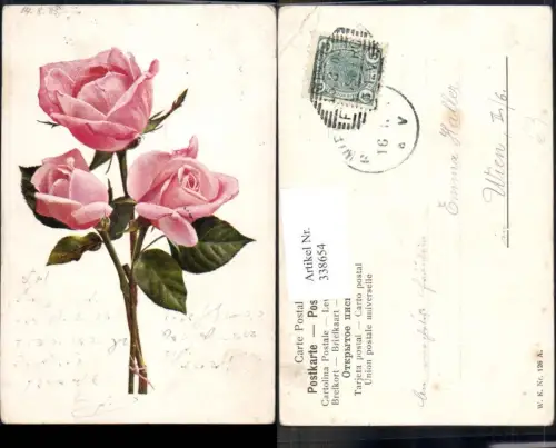 338654,Blumen Rosarote Rosen