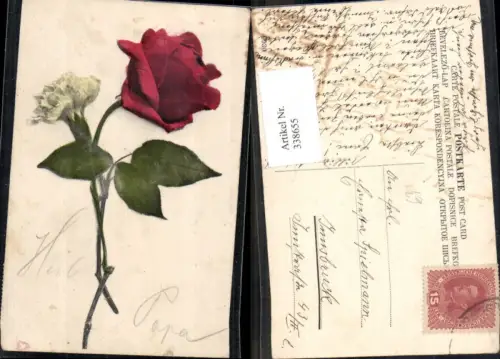 338655,Blumen Rote Rose u. Weiße Nelke