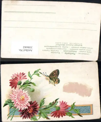 338682,Blumen Astern Schmetterling