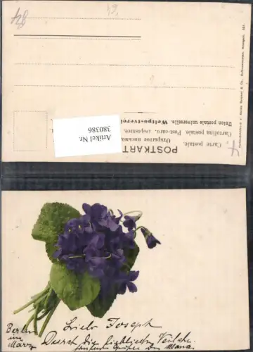 380386,Blumen Strauß Veilchen pub Martin Rommel Co 521