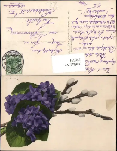380391,Blumen Veilchen Palmkätzchen Zweige pub Martin Rommel Co 571