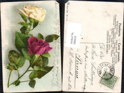 380418,Blumen Gelbe u. Rosa Rosen Blüten