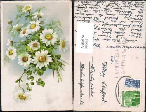 380419,Blumen Margeriten Strauß