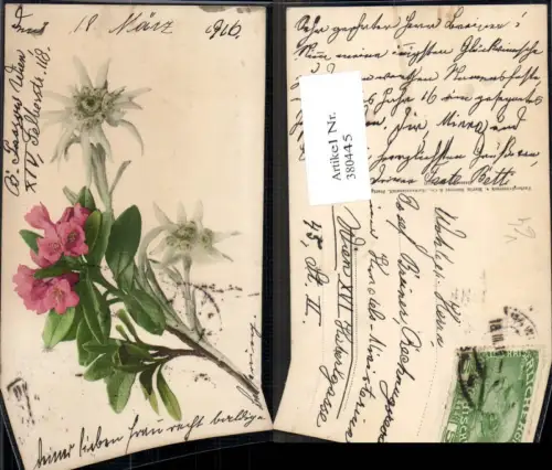 380445,Blumen Alpenflora Alpenrose Edelweiß pub Martin Rommel Co 523