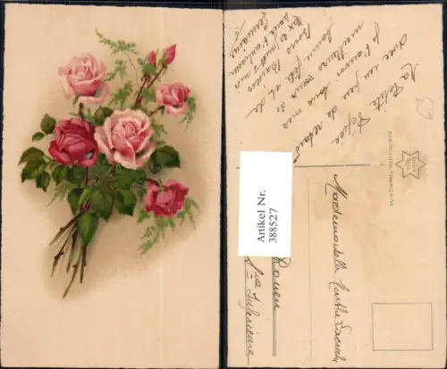 388527,Blumen Strauß Rote Rosen Blüten Knospen