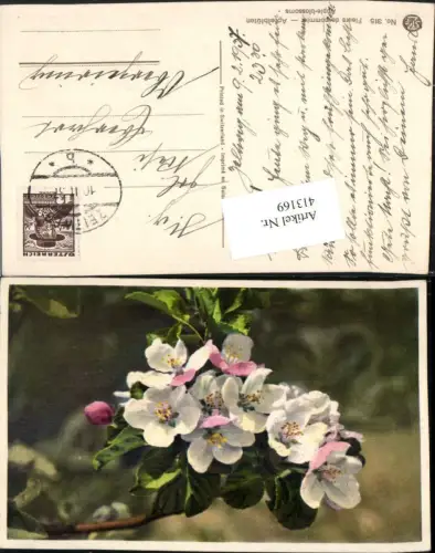 413169,Fleurs de pommier Apfelblüten Blüten