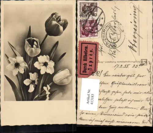 413183,Blumen Tulpen Narzissen