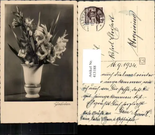 413188,Gladiolen Blumen Vase