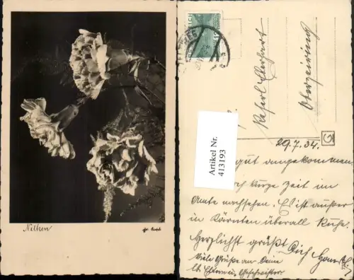 413193,Nelken Blumen