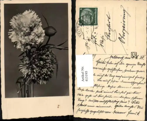 413195,Blumen Nelken