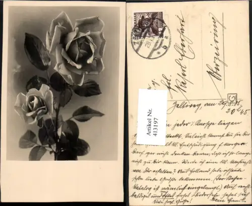 413197,Rosen Blumen