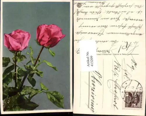 413209,Rose Rosa Blume