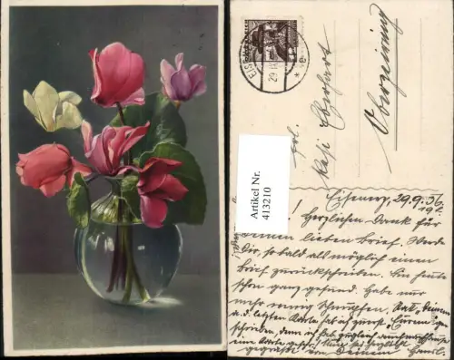 413210,Alpenveilchen Blumen Vase