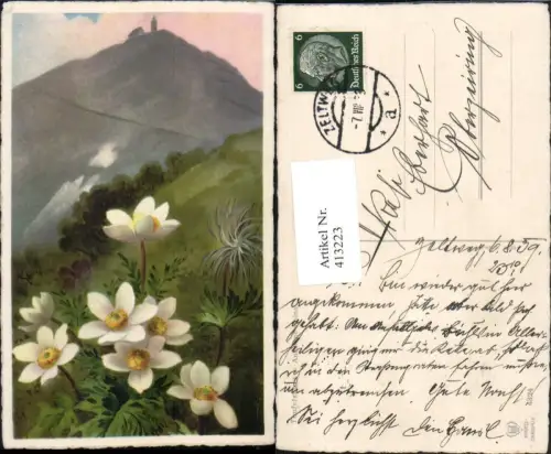 413223,Kuhschelle Teufelsbart Blumen Bergkulisse