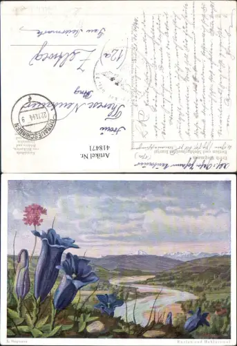 418471,Künstler Ak E. Stegmann Enzian u. Mehlprimel Blume Blumen Feldpost München