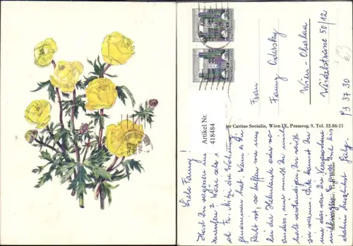 418484,Künstler Ak Schenker-Langer Trollblume Blume Blumen pub Caritas Wien