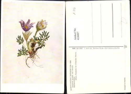 418487,Künstler Ak Moritz Michael Daffinger Küchenschelle Blume Blumen