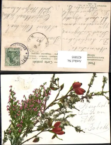 425895,Blumen Blütenzweig Hagebutte Heidezweig