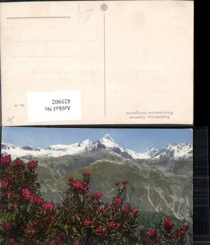 425902,Blumen Rostblättrige Alpenrose Alpenflora