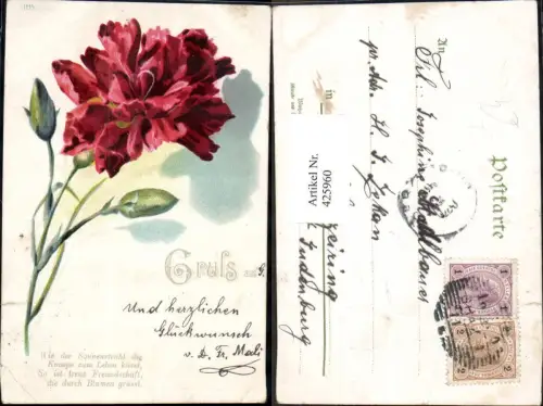 425960,Litho Rote Nelke Blumen Text