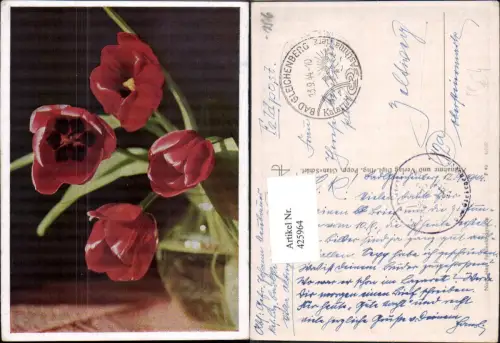 425964,Blumen Rote Tulpen Blüten Feldpost Reserve Lazarett Bad Gleichenberg