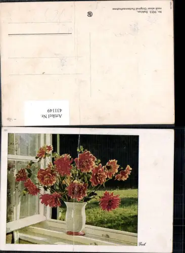 431149,Dahlien am Fenster Blumen pub Groh 9012