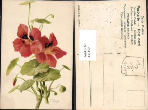 431152,Künstler Ak E. Vouga Kapuzinerkresse Blumen
