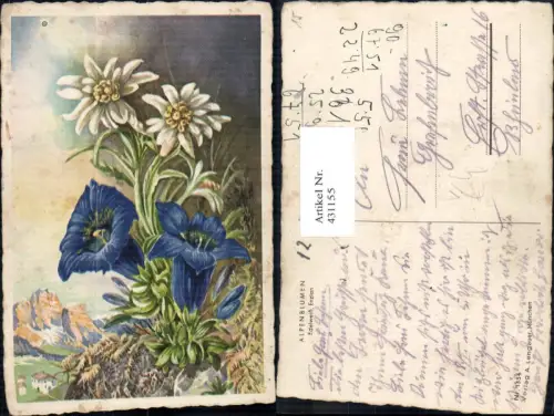 431155,Künstler Ak Alpenblumen Edelweiß Enzian Blumen pub A. Lengauer München 1334
