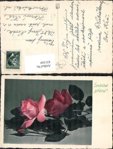 431169,Blumen Rote Rosen Blüten Srdecne prani