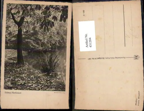 431204,Baum Kastanienbaum Schöne Herbstzeit pub Korn-Verlag O 1350