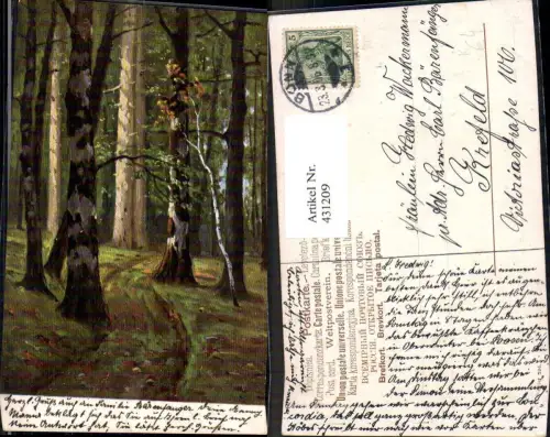 431209,Künstler Ak Birken i. Wald Baum