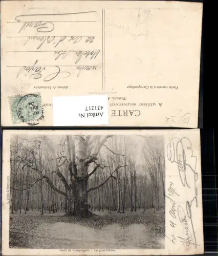 431217,Großer Baum Wald Foret de Compiegne Le gros Chene