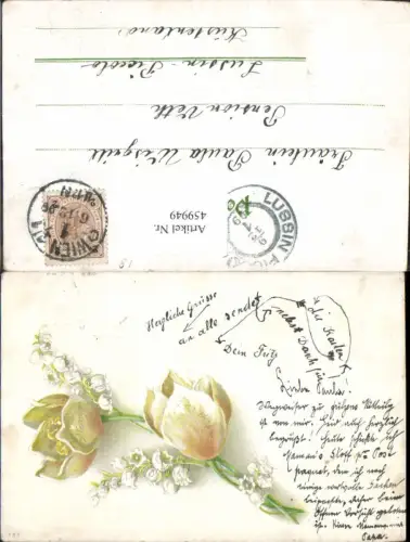 459949,Litho Tulpe Maiglöckchen Blume Blumen