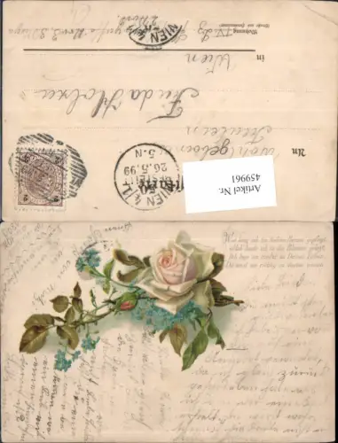 459961,Rose Vergissemeinnicht Blume Blumen Text
