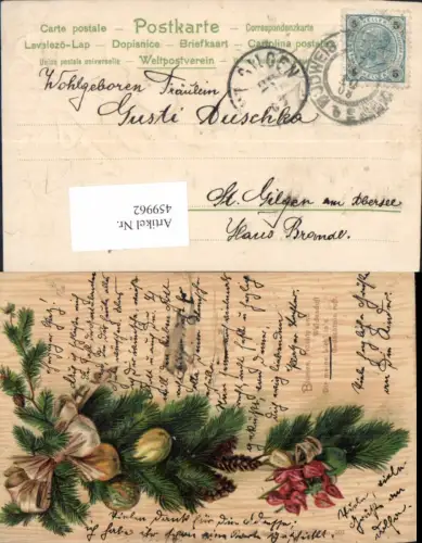 459962,Präge Litho Tannenzweig Lampionblume Schleife Blumen