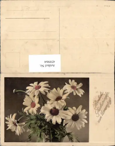 459964,Margeriten Blume Blumen Namenstag