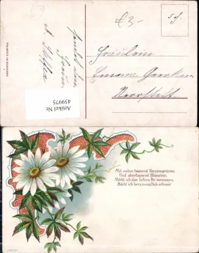 459975,Litho Margeriten Wilder Wein Ranke Blume Blumen Text Spruch
