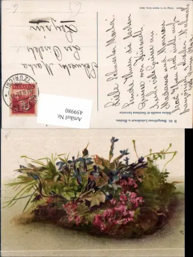 459980,Künstler Ak Stengelloses Leimkraut u. Enzian Blume Blumen