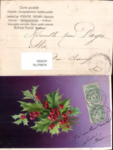 459989,Stechpalme Blätter Früchte Blume Blumen