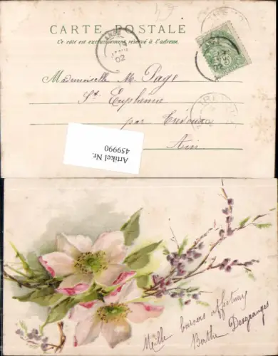 459990,Blüte Zweig Blume Blumen