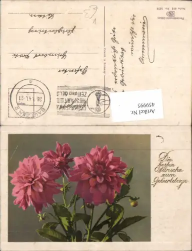 459995,Rosa Dahlien Blume Blumen pub Photochromie Ostermaier Nenke 613/1676