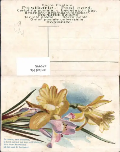 459998,Narzissen Blume Blumen Spruch Text