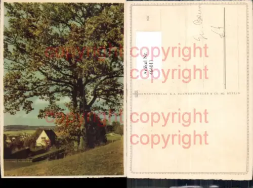 464011,Großer Baum Bäume Haus Landschaft