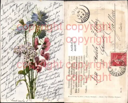 464873,Künstler Ak Blumen Blaue Rosa Blüten