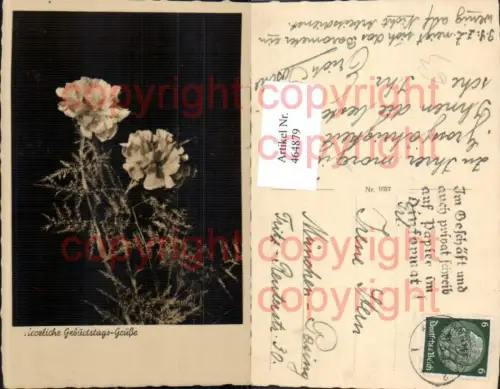 464879,Blumen Nelke Geburtstag