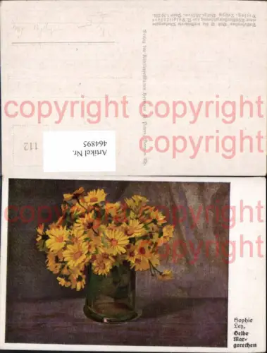 464895,Künstler Ak Sophie Leh Gelbe Margeriten Blumen