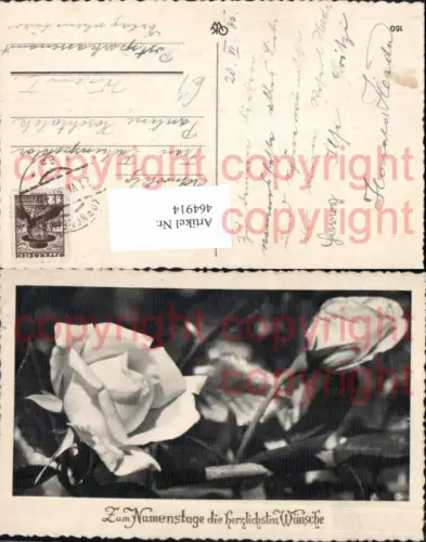 464914,Blumen Weiße Rosen Namenstag