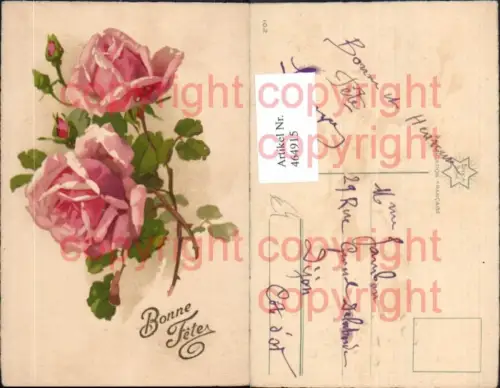 464915,Blumen Rosa Rosen Blüten Knospe