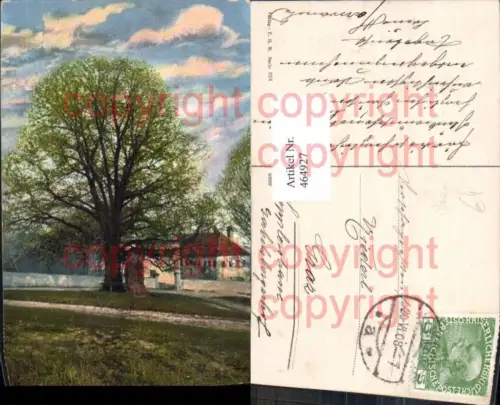 464927,Großer Baum Landschaft Haus Gebäude