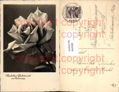 464940,Blumen Rose Rosenblüte Namenstag